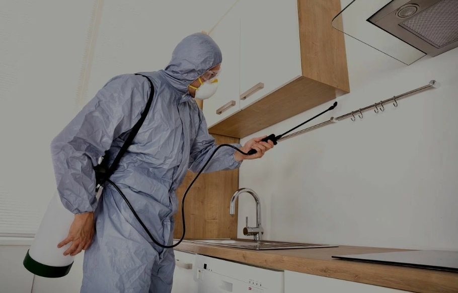 Rosemead pest managment